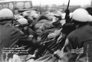 6_300_Blur_DW_opt